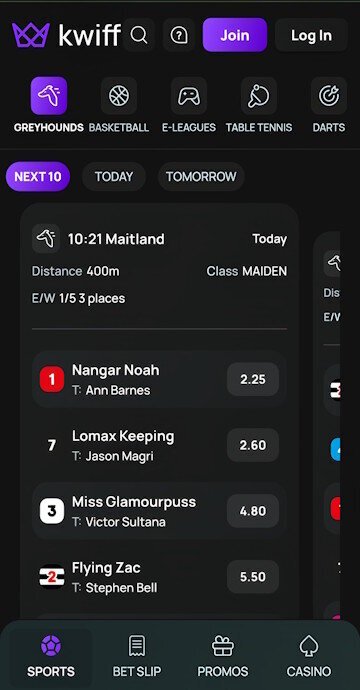 Kwiff greyhound race card showing available markets
