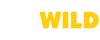 Casino GOWILD cover