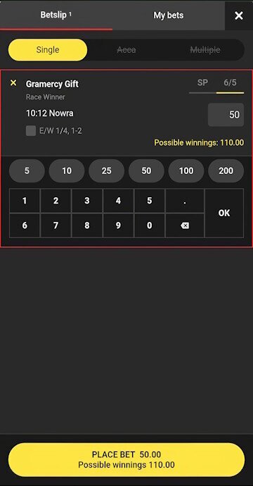 Betgoodwin bet slip for a greyhound racing wager