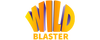 Casino Wildblaster cover
