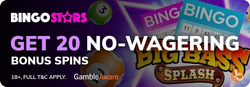 Bingostars bonus offer