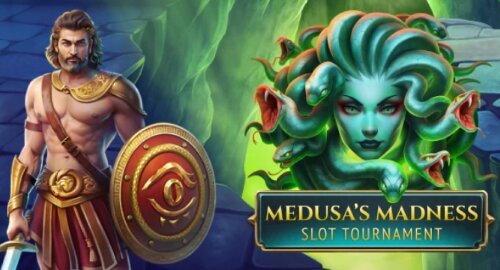 Hippozino tournaments