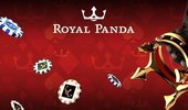 Royal Panda cover
