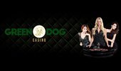 Green Dog Casino cover
