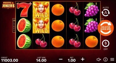 Fruits and Jokers slot by Playson
