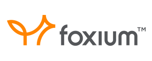 Discover Foxium casino games