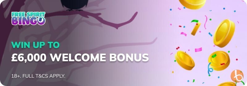 Free Spirit Bingo Casino's bonus offer