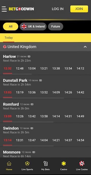 Betgoodwin greyhound race card with available markets