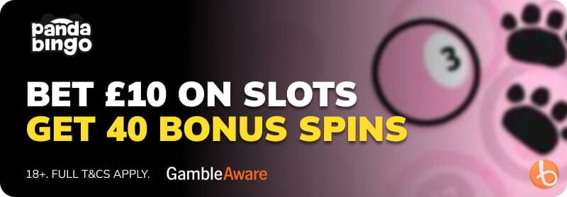 Panda Bingo bonus banner