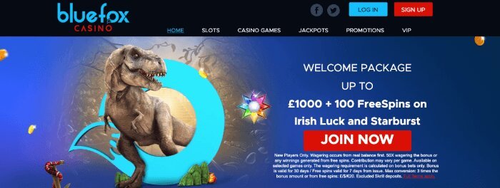 Bluefox Casino in January 2020