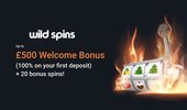Wild Spins Casino cover