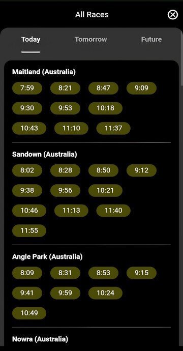 Parimatch greyhound race markets view