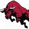 Bullish avatar