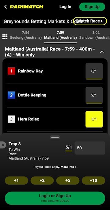 Parimatch greyhound bet slip with selected runner