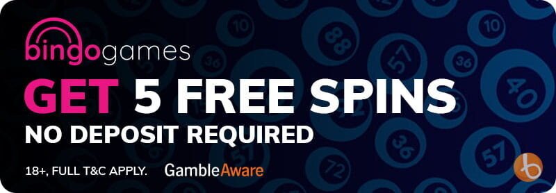 Bingo Games no deposit bonus