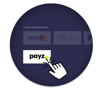 Choosing Payz as the payment method