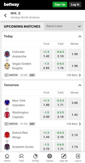  Find the Ice hockey match that you want to bet on